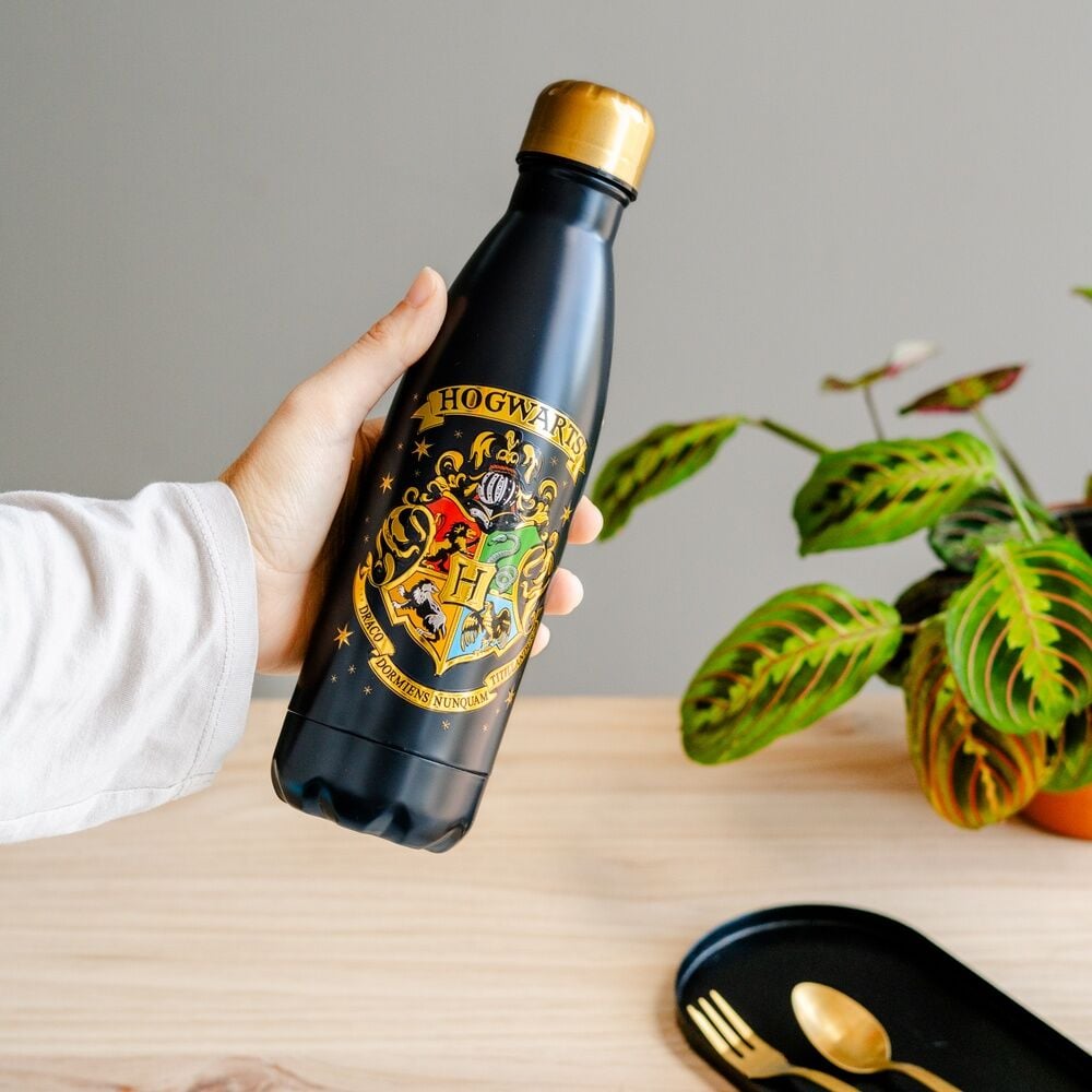 Botella acero inoxidable Hogwarts Harry Potter 500ml - imagen 7