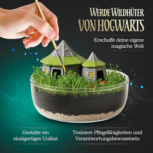 Terrarium Harry Potter - imagen 2