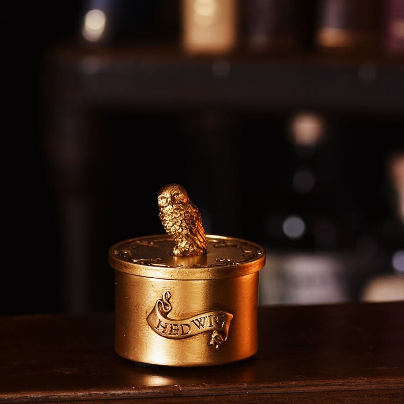 Joyero Hedwig Harry Potter - imagen 5