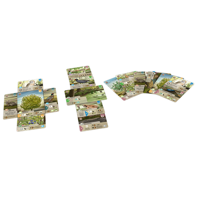 Juego de mesa forest shuffle dartmoor