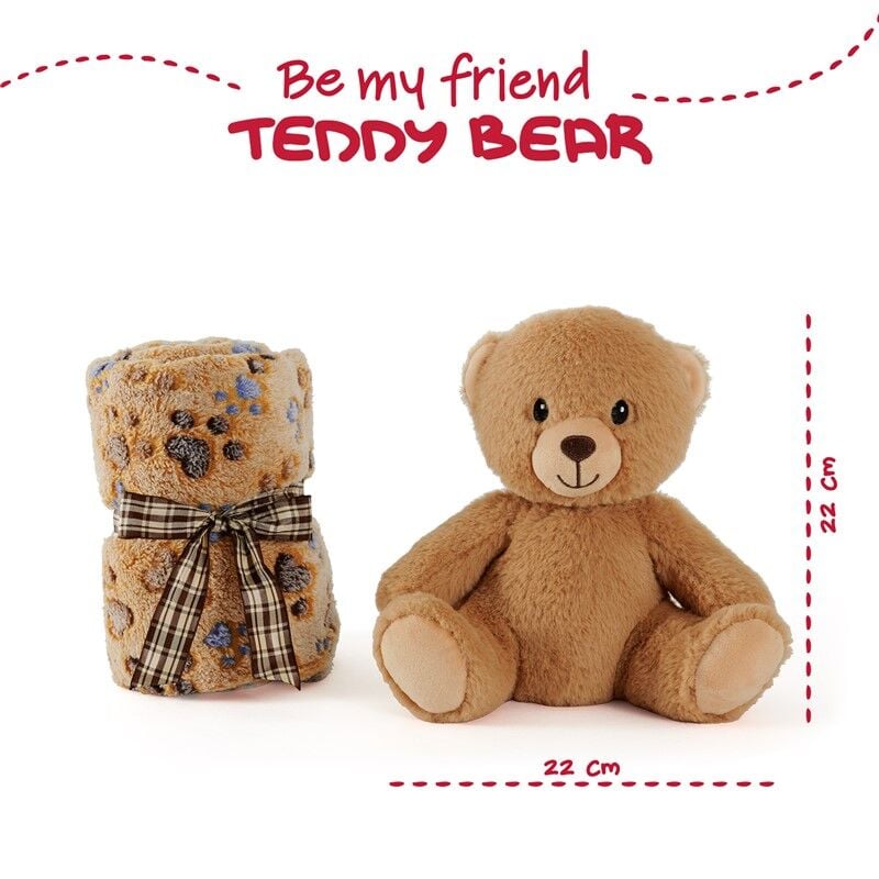 Peluche + manta suave Oso Teddy 22cm - imagen 2