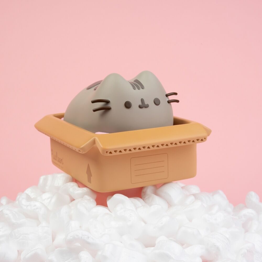 Hucha Pusheen - imagen 3