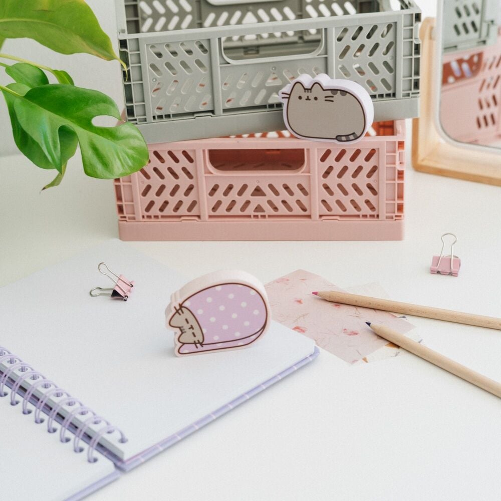 Blister 2 gomas borrar Pusheen - imagen 4
