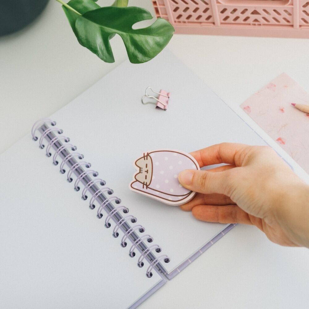 Blister 2 gomas borrar Pusheen - imagen 6