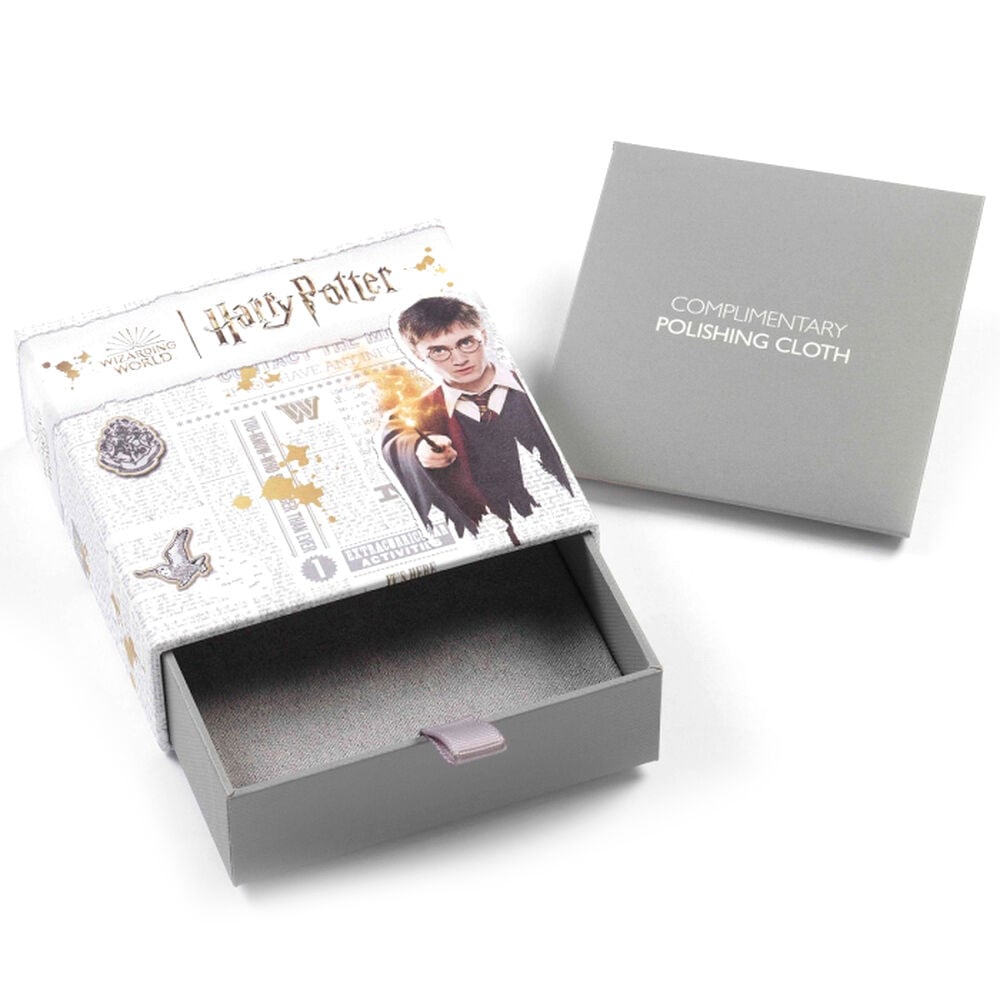 Colgante Giratiempos Harry Potter plata baño oro - imagen 4