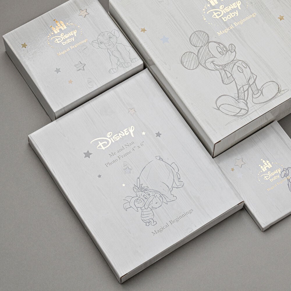 Hucha Simba El Rey Leon Disney