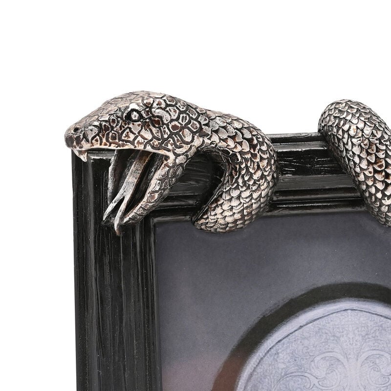 Marco fotos Nagini Harry Potter - imagen 3