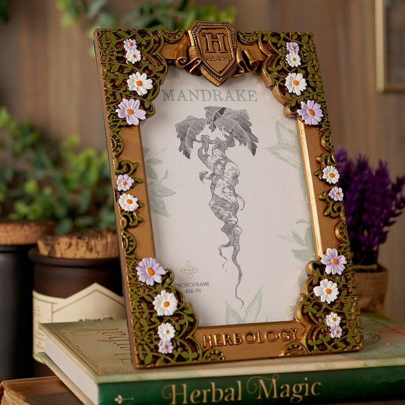Marco fotos Herbologia Harry Potter - imagen 4