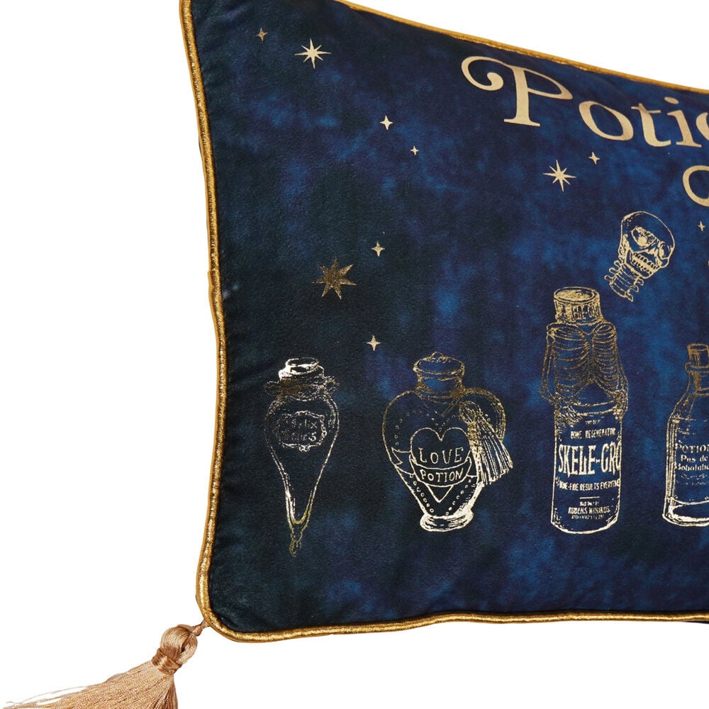 Cojin velvet Potions Class Harry Potter - imagen 3