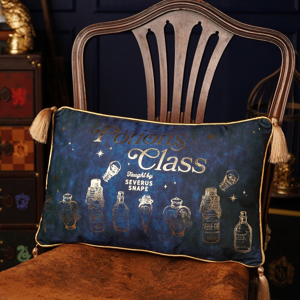 Cojin velvet Potions Class Harry Potter - imagen 4
