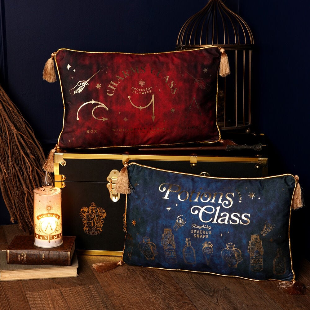 Cojin velvet Potions Class Harry Potter - imagen 5
