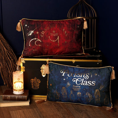 Cojin velvet Potions Class Harry Potter - imagen 5