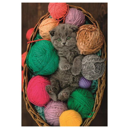 Puzzle Fluffy Kitten 500pzs - imagen 3